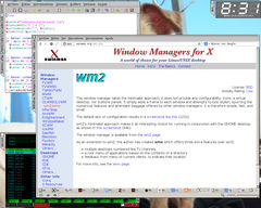 Captura de Wm2